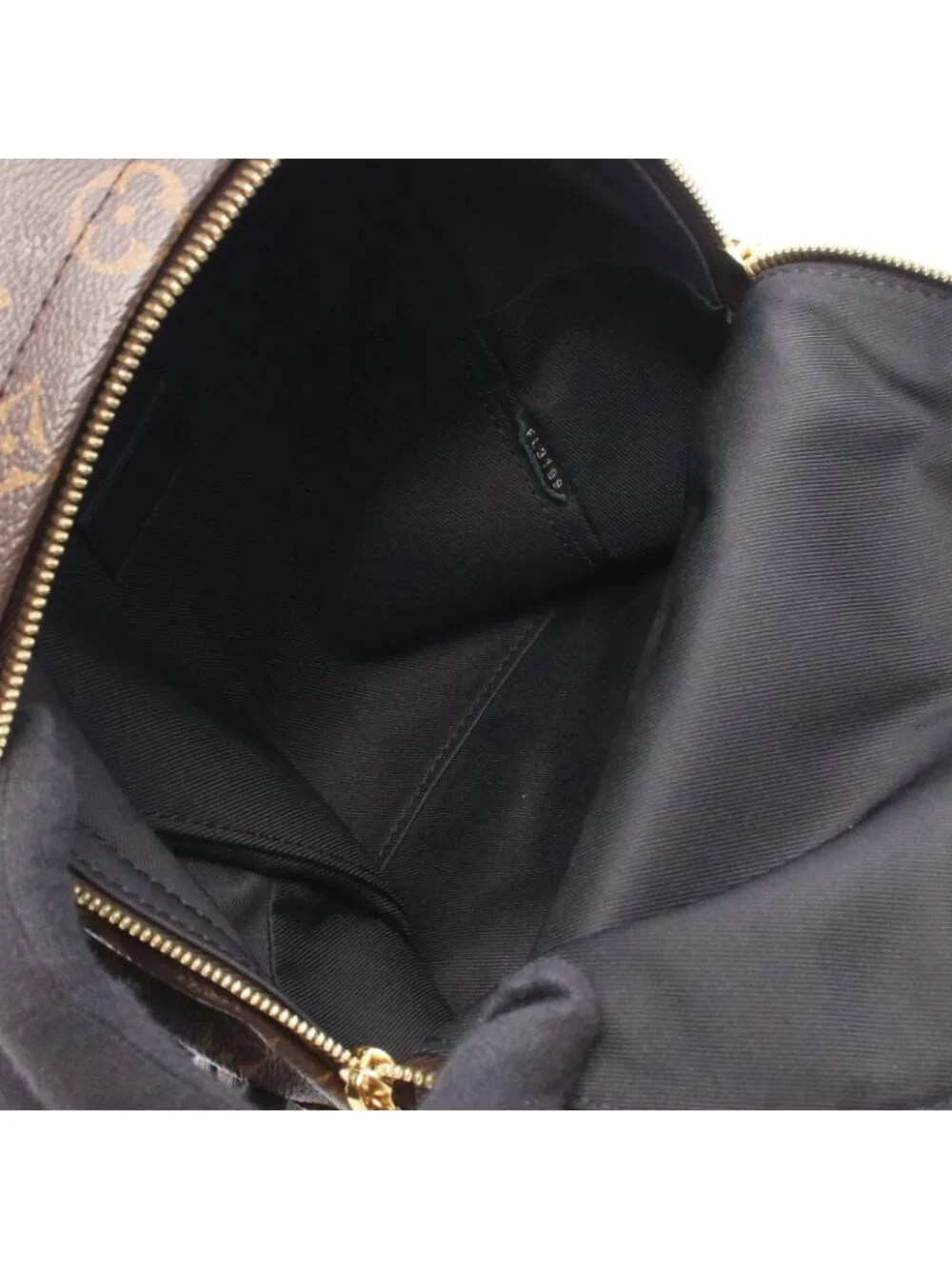 Louis Vuitton Backpack Palm Springs PM Canvas Leather